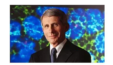 用奶牛产出艾滋病疫苗！